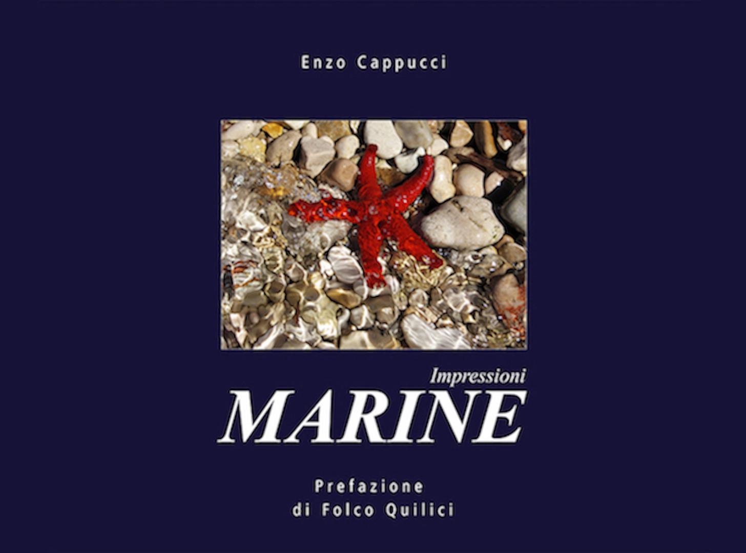 Impressioni Marine Enzo Cappucci