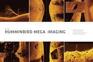 Some Humminbird Mega Images views