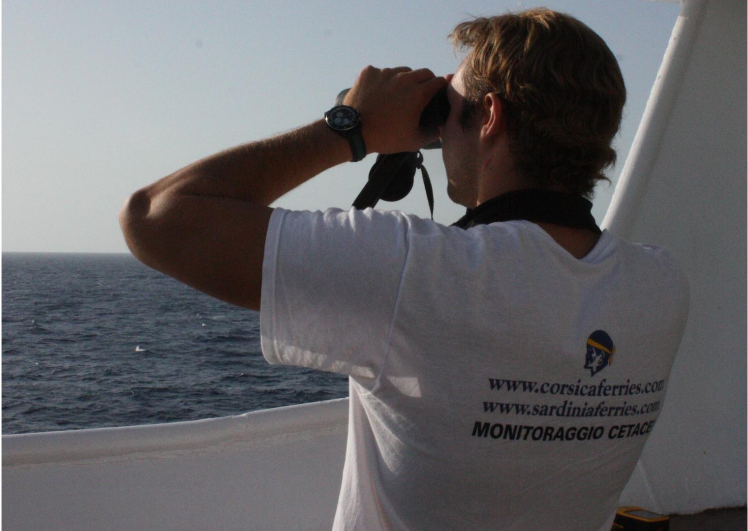 “Monitoraggio cetacei nel Santuario Pelagos” a bordo delle navi della Corsica Sardinia Ferries