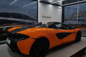 McLaren Summer Tour