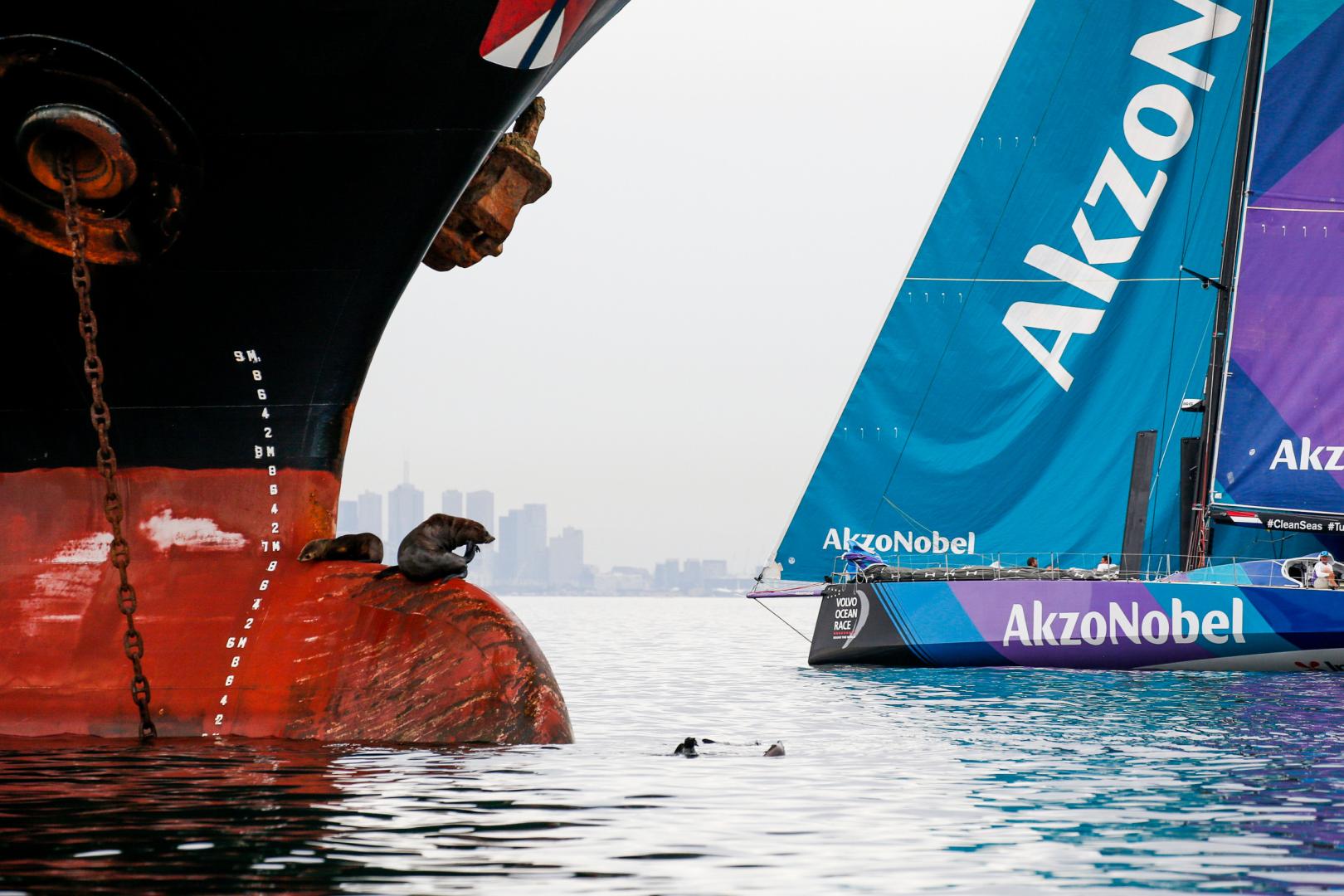Volvo Ocean Race Leg 3, Cape Town to Melbourne, Team AkzoNobel arrival