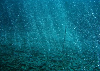L’impatto della concentrazione della CO2 al di sotto dei fondali marini