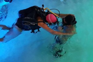 HSA evento subacquea disabilita P7 low