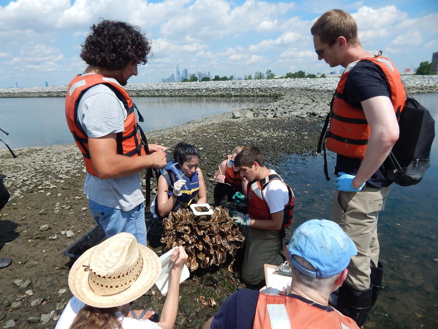Billion Oyster Project utilizes the harbor as its classroom