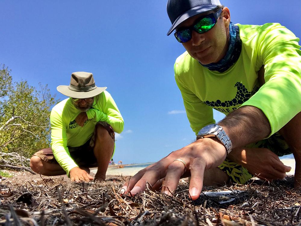 Nurdle patrol volunteers sorting through marine debris by hand. Photo Credit: University of Texas Marine Science Institute