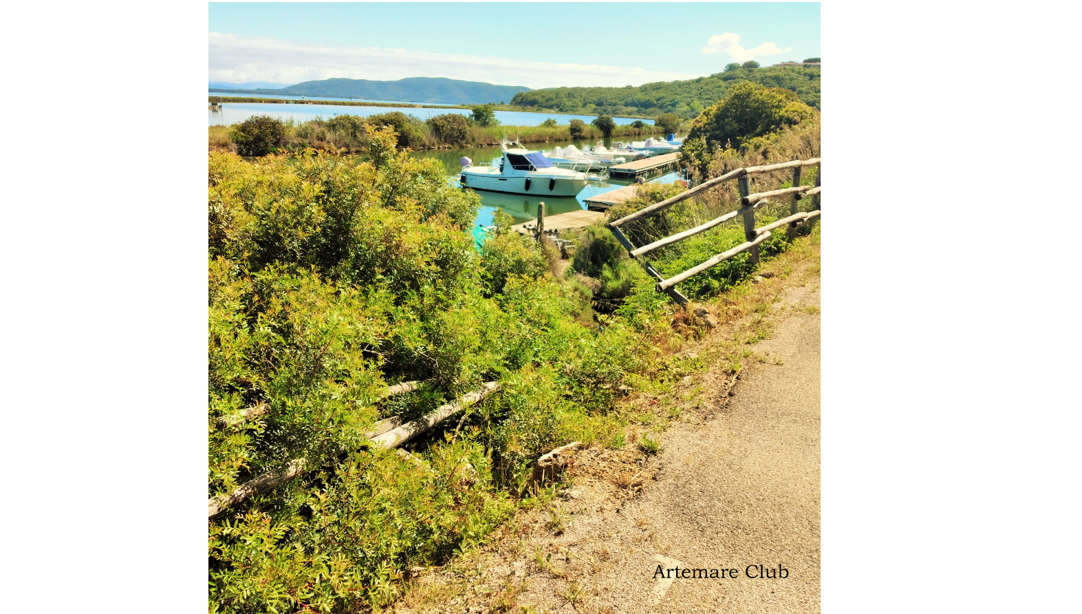 Artemare per la ciclabile mare laguna e natura dell’Argentario
