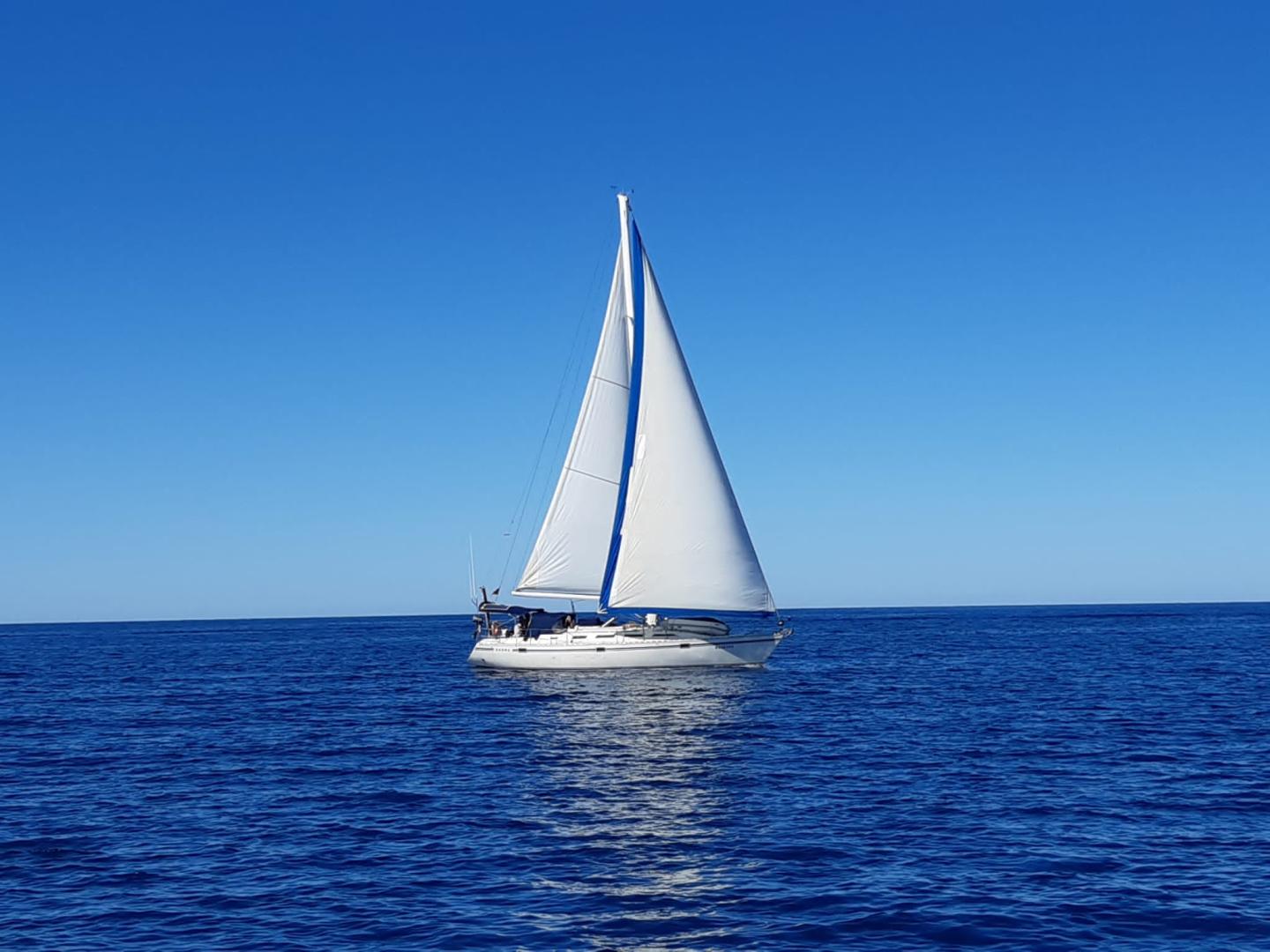 A bordo con Fondazione Cetacea: nasce Sailing for blue life