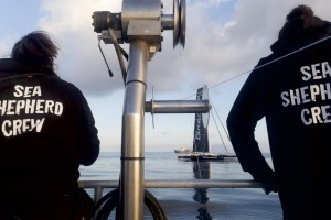 Giovanni Soldini incontra i volontari di Sea Shepherd Italia al largo delle Eolie
