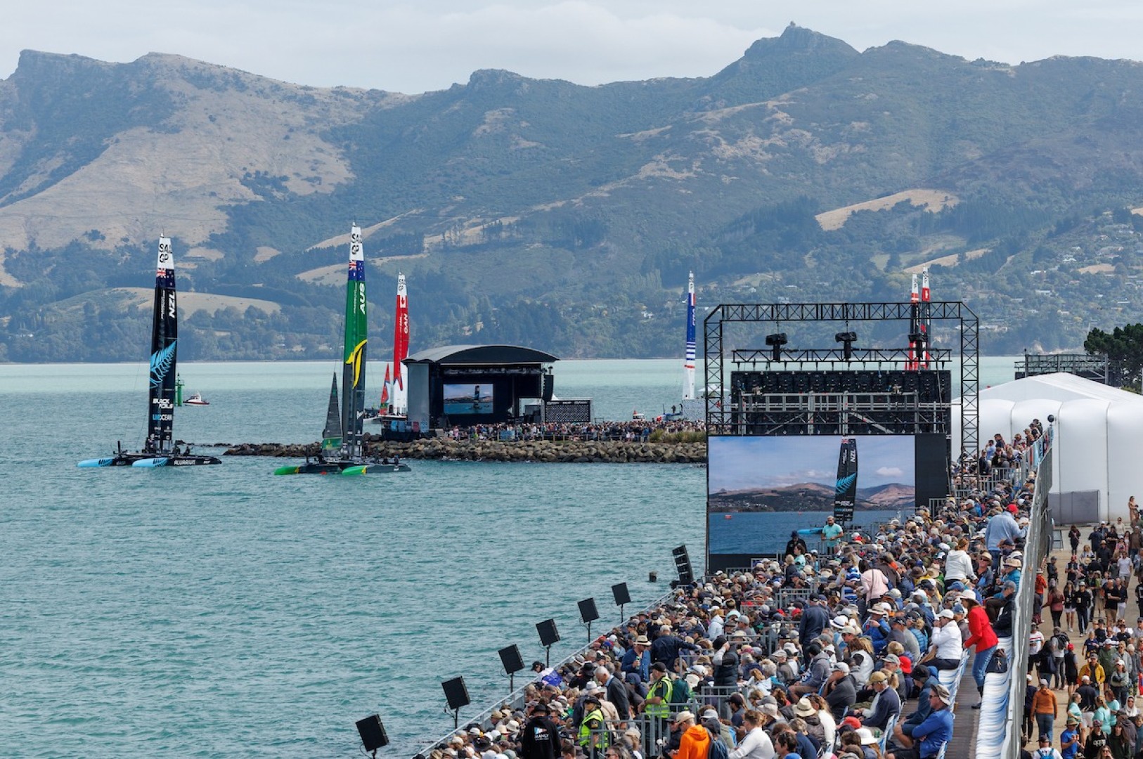 New Zealand SailGP: racing canceled due to mammal activity on the racecourse