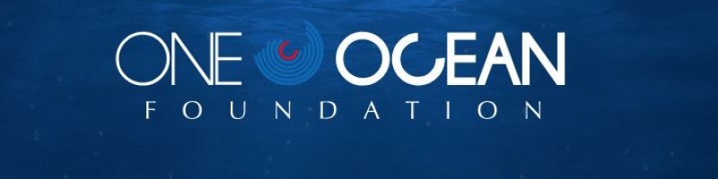 One Ocean Foundation
