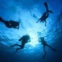 Nasce scubadvisor, la prima app dedicata al mondo delle immersioni