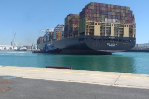La MSC SIYA B al terminal container del Porto di Civitavecchia