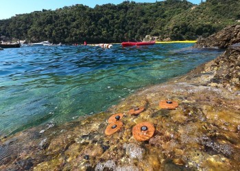 Portofino Seaweed Garden: il progetto voluto da Outdoor Portofino